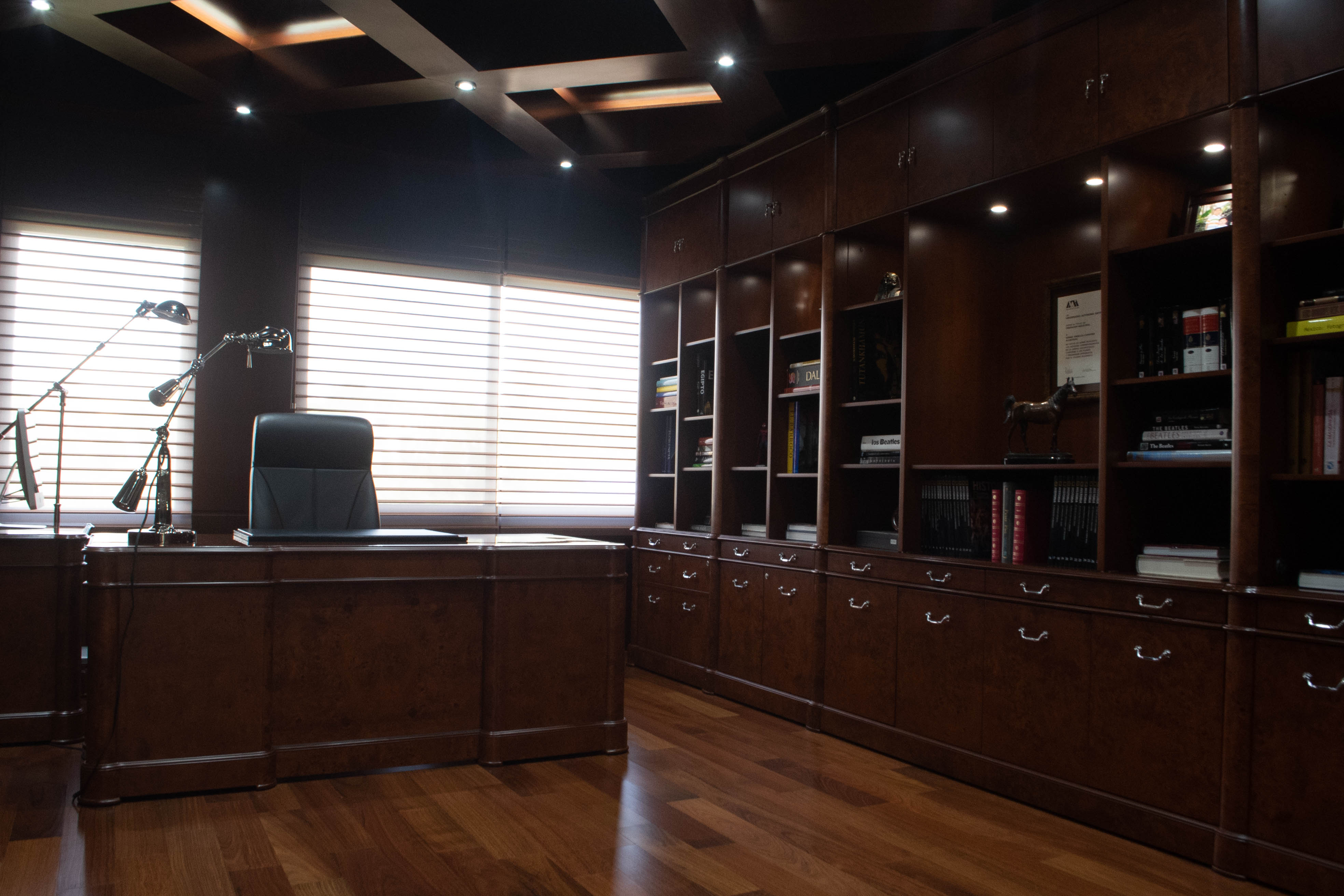 BIBLIOTECA LIC