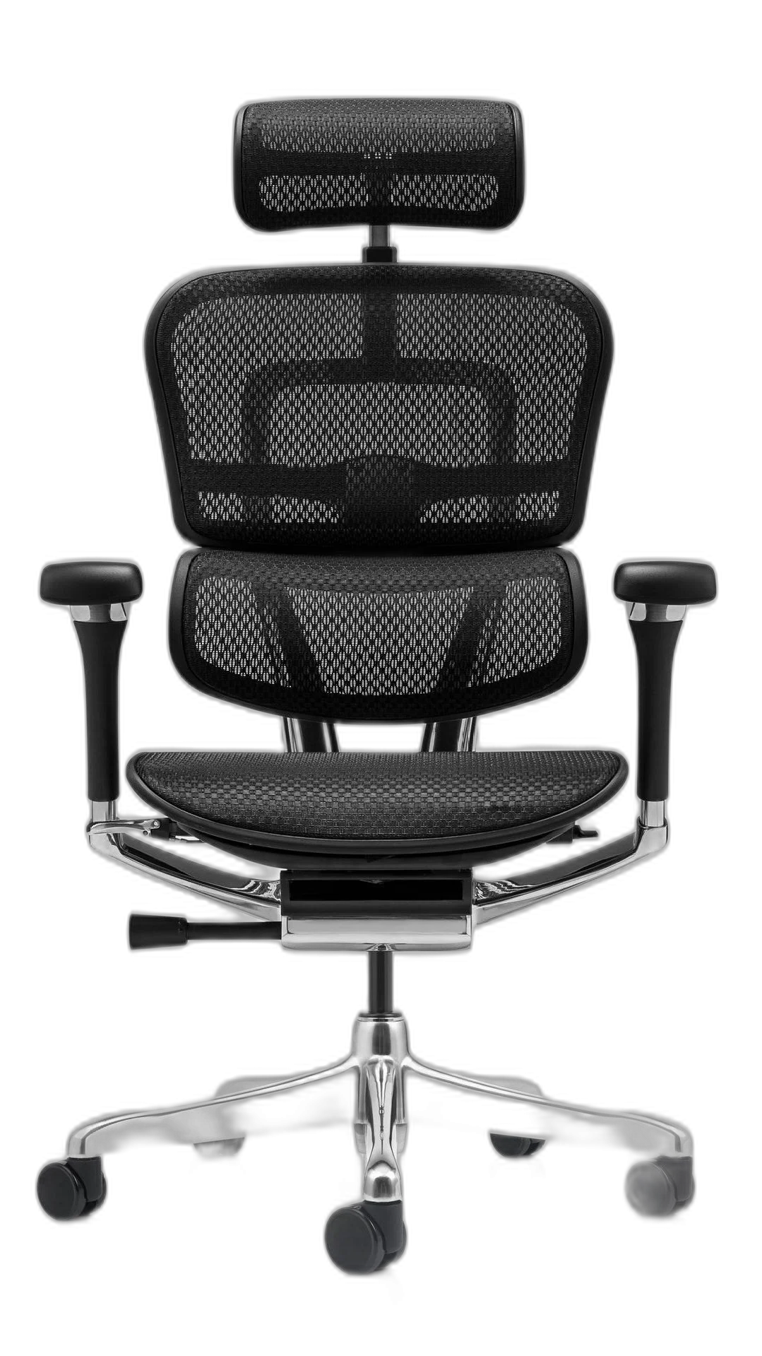 ERGOHUMAN
